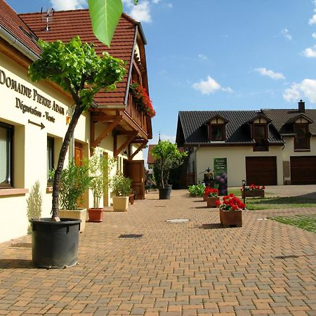 Gites Les Cepages Ammerschwihr Exterior foto