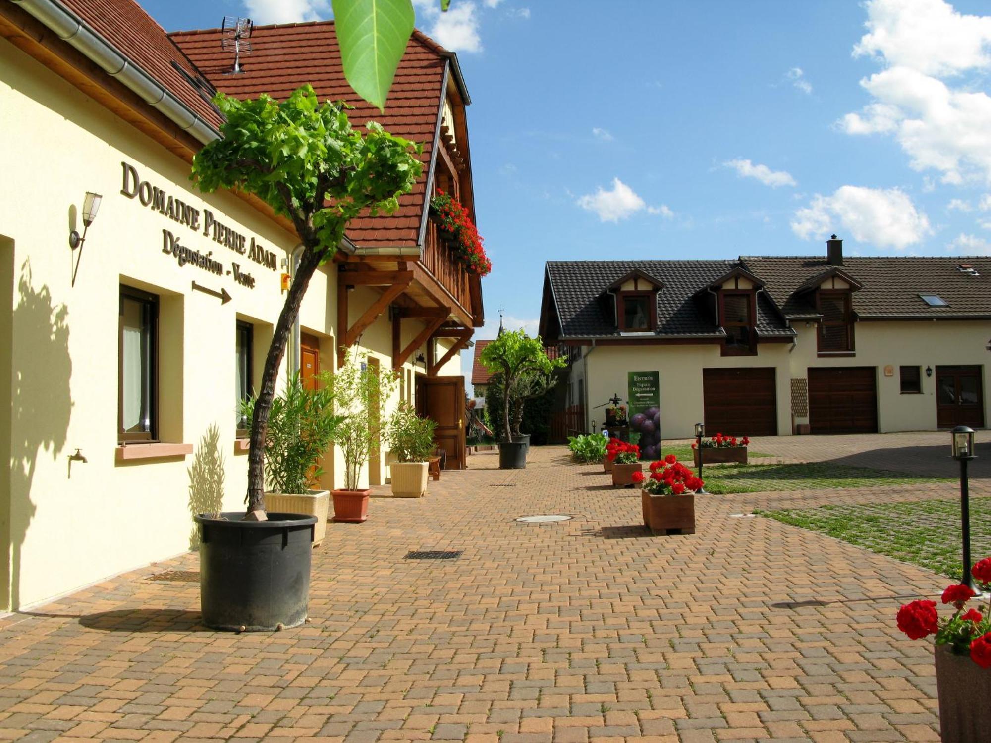 Gites Les Cepages Ammerschwihr Exterior foto