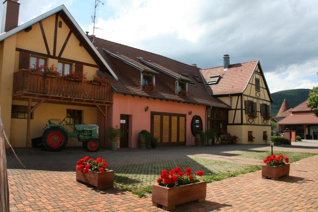 Gites Les Cepages Ammerschwihr Zimmer foto