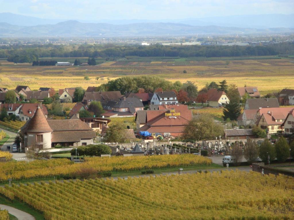 Gites Les Cepages Ammerschwihr Exterior foto